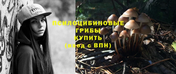 COCAINE Карпинск