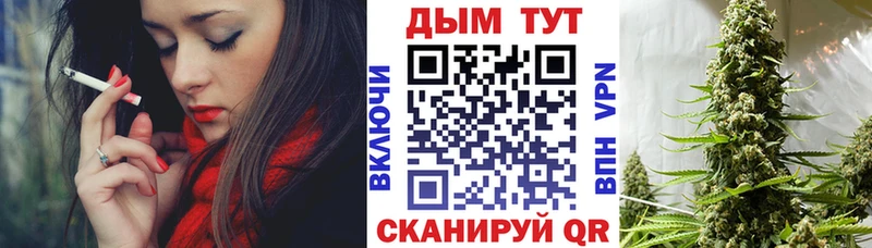 Бошки Шишки конопля  Купить закладки  Сусуман 
